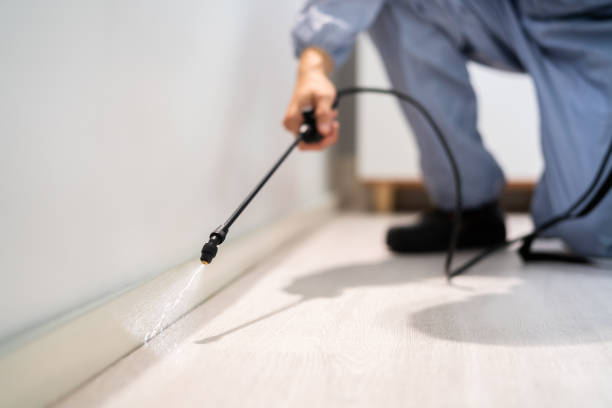 Certified termite inspector examining foundation in Deenwood